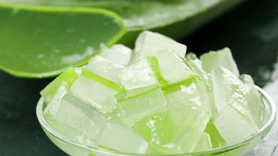 Recipe for preparation of Aloe vera gel and storage